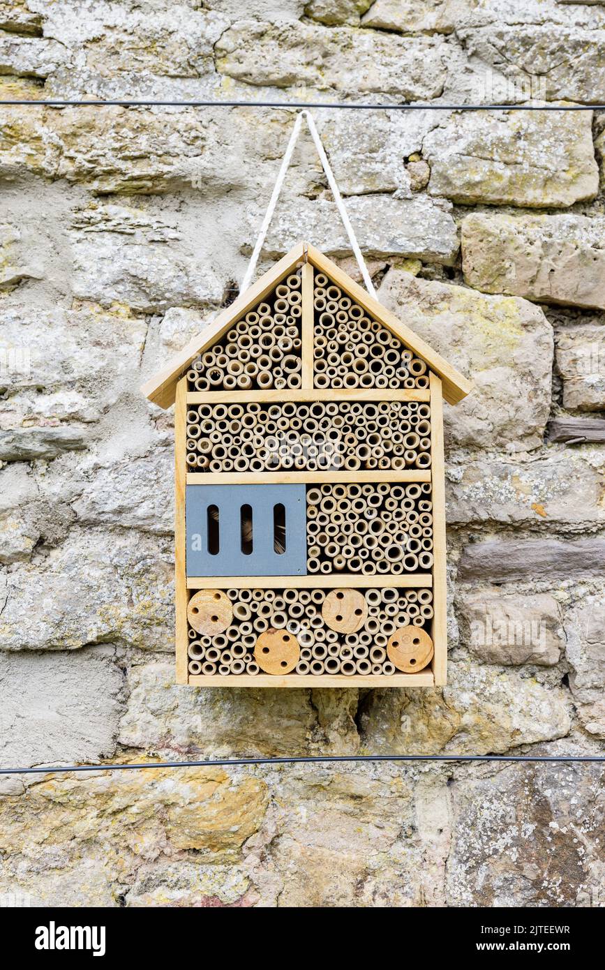 hotel bee appeso ad un muro di pietra Foto Stock