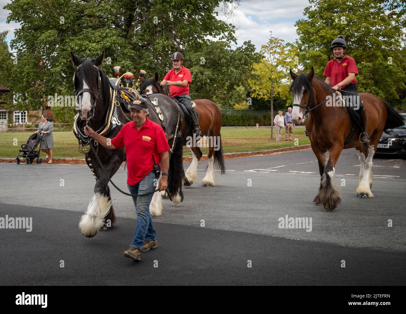 Cavalli vestiti per le gare del cavallo-racing festival di Tagong Foto  stock - Alamy