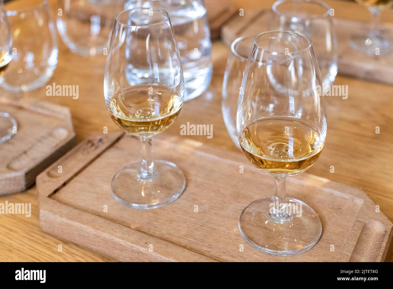 degustazione di whisky Foto Stock