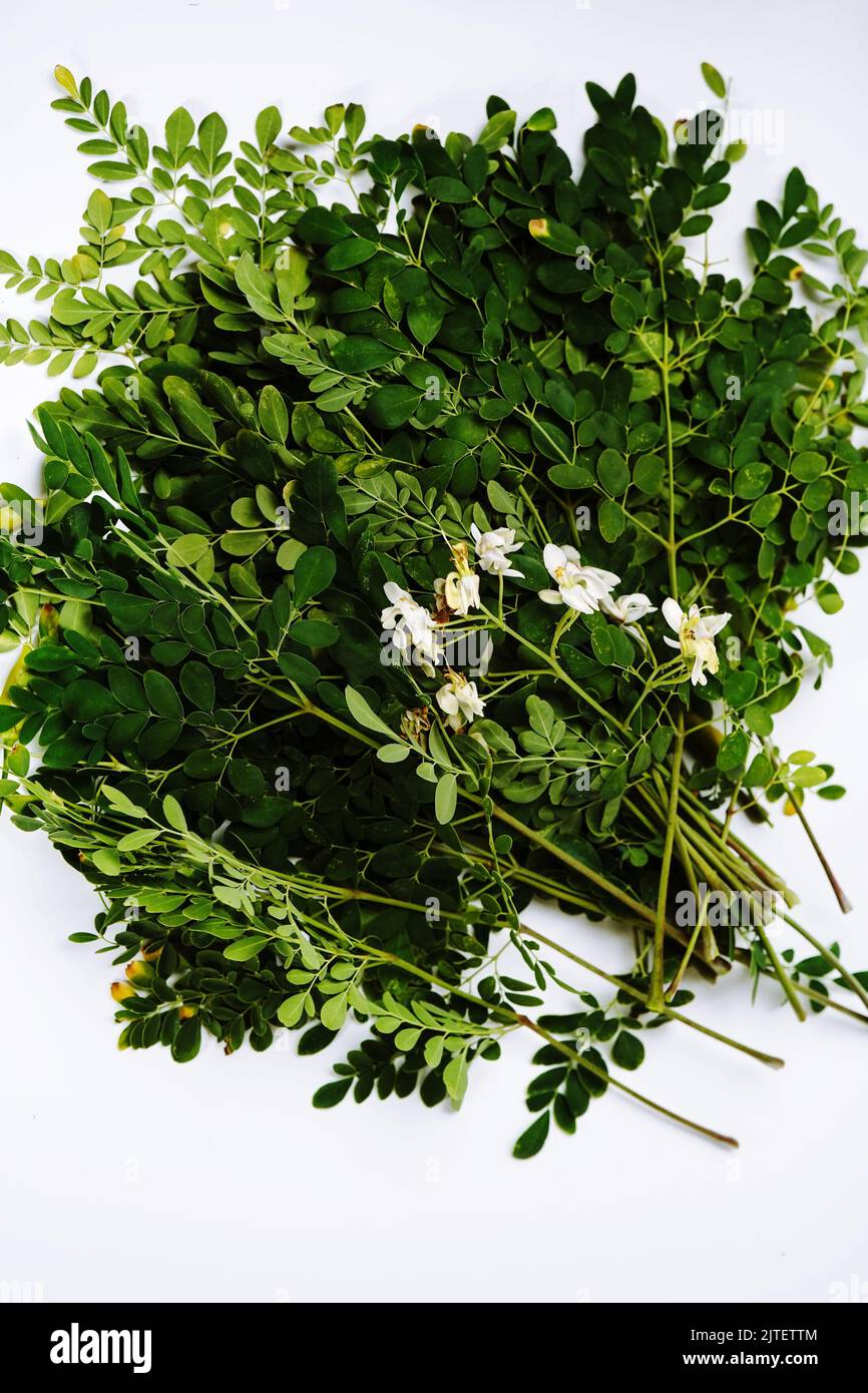 Fresche foglie di Moringa o Muringa locali isolate su sfondo bianco, fuoco selettivo Foto Stock