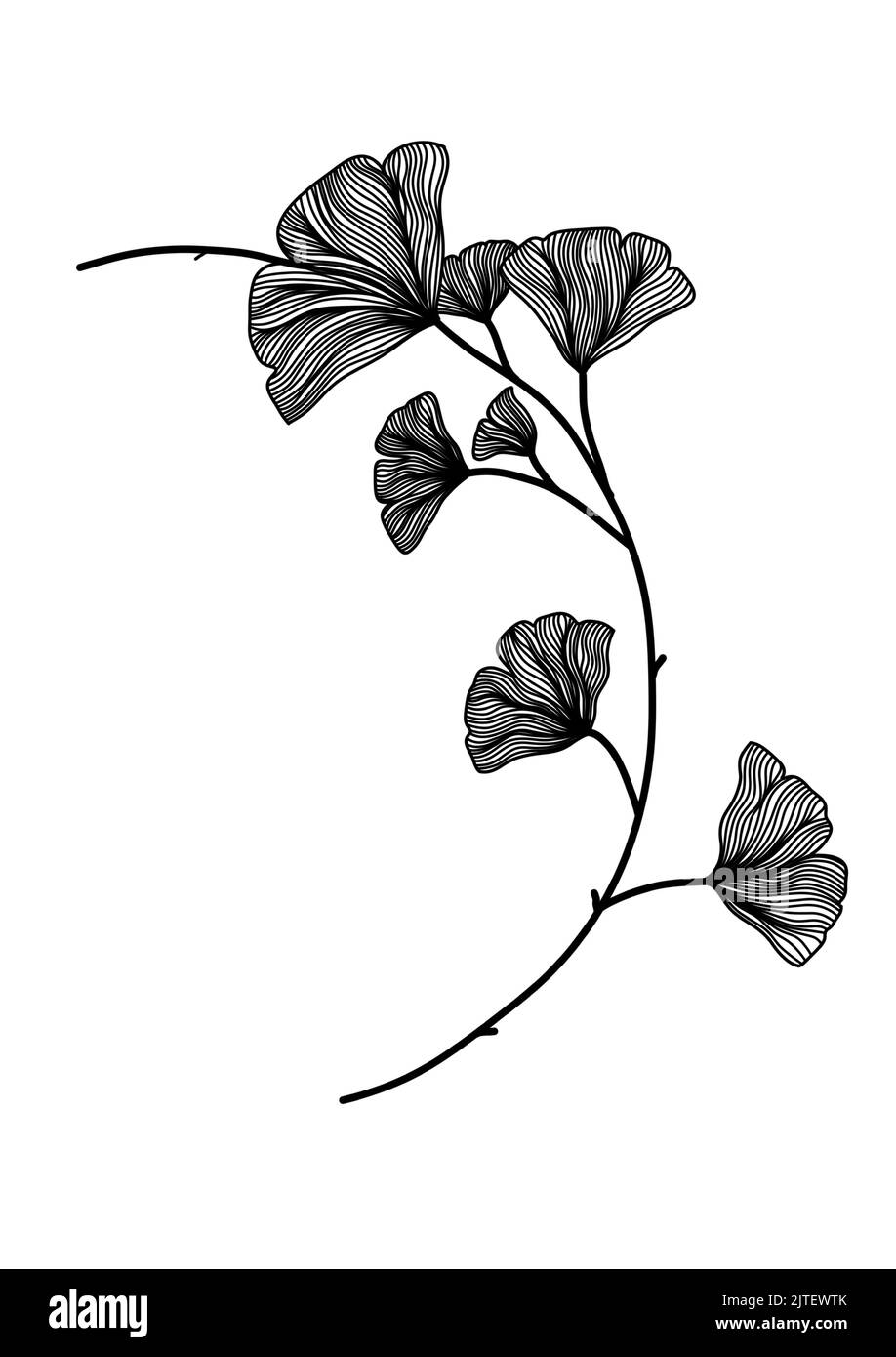 Una linea nera e bianca disegno di silhouette di ginkgo biloba foglie per sfondo, logo e altre esigenze di illustrazione Illustrazione Vettoriale