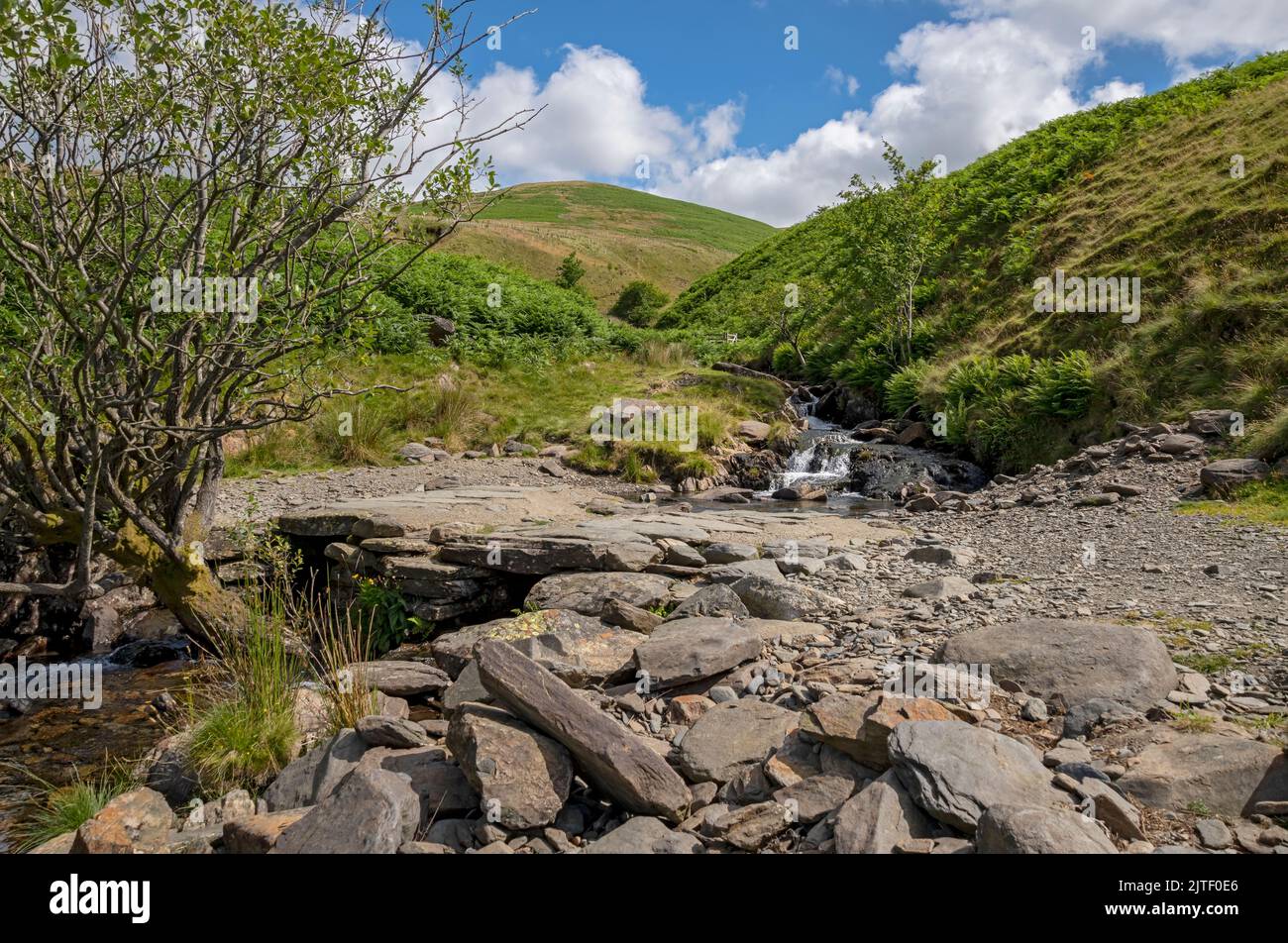 Sentiero percorso attraverso Roughten Gill su Blase Fell Fells in estate vicino Keswick Lake District National Park Cumbria Inghilterra GB Gran Bretagna Foto Stock