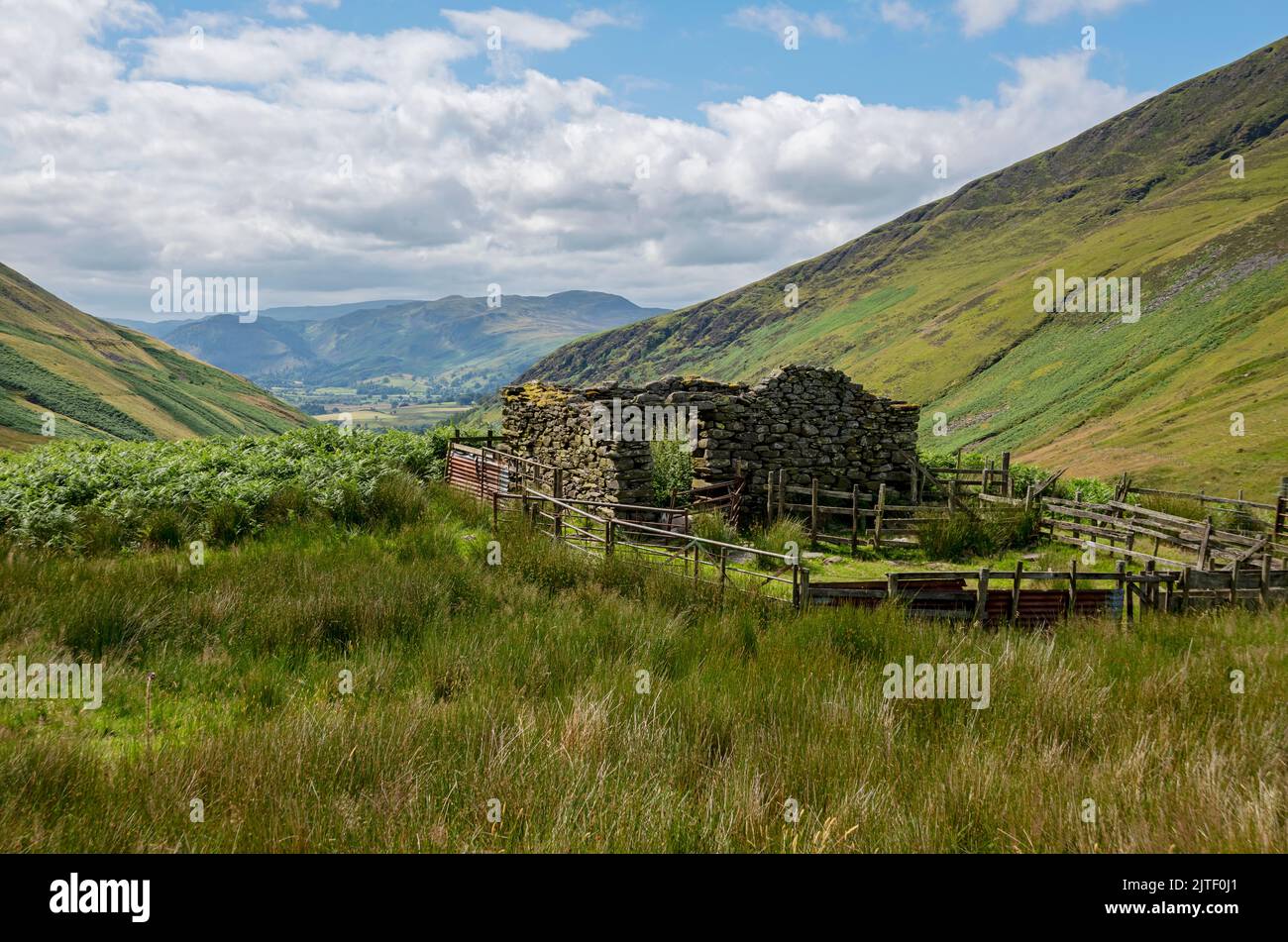 La penna di pecore ha rovinato l'edificio in rovina a Blease cadde in estate vicino a Keswick Lake District Cumbria Inghilterra Regno Unito Gran Bretagna Foto Stock