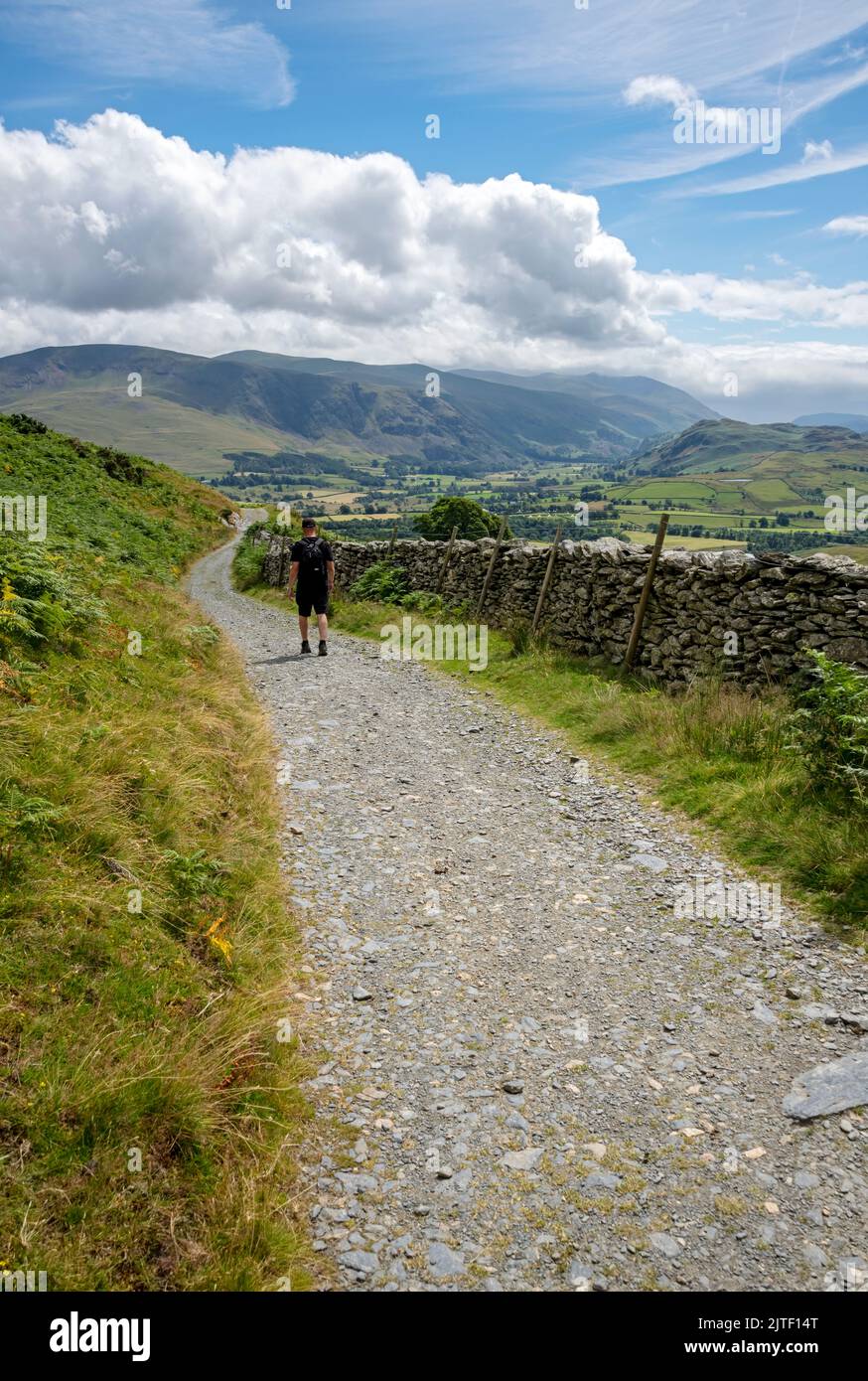 Uomo camminatore a piedi lungo il percorso di Blase è caduto con la gamma Helvellyn in vista estate vicino Keswick Lake District National Park Cumbria Inghilterra Regno Unito Foto Stock