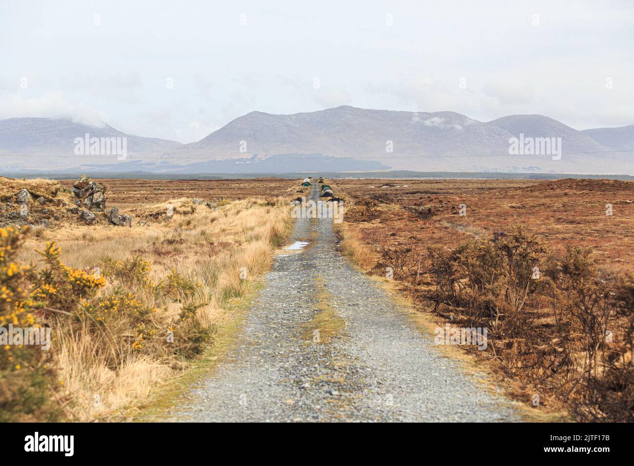 Vecchia strada sterrata di campagna che si sposta in lontananza con le montagne sullo sfondo. Situato nel mezzo dell'Irlanda. Foto Stock