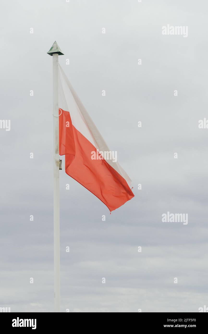 Bandiera polacca su un flagpole Foto Stock