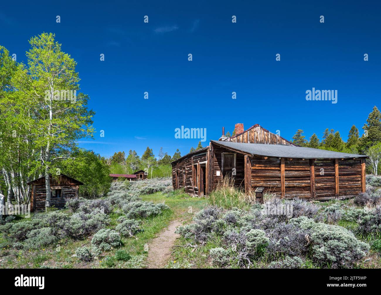 Bryant Cabin, Miners Delight, alias Hamilton City Townsite, Wind River Range, Wyoming, USA Foto Stock