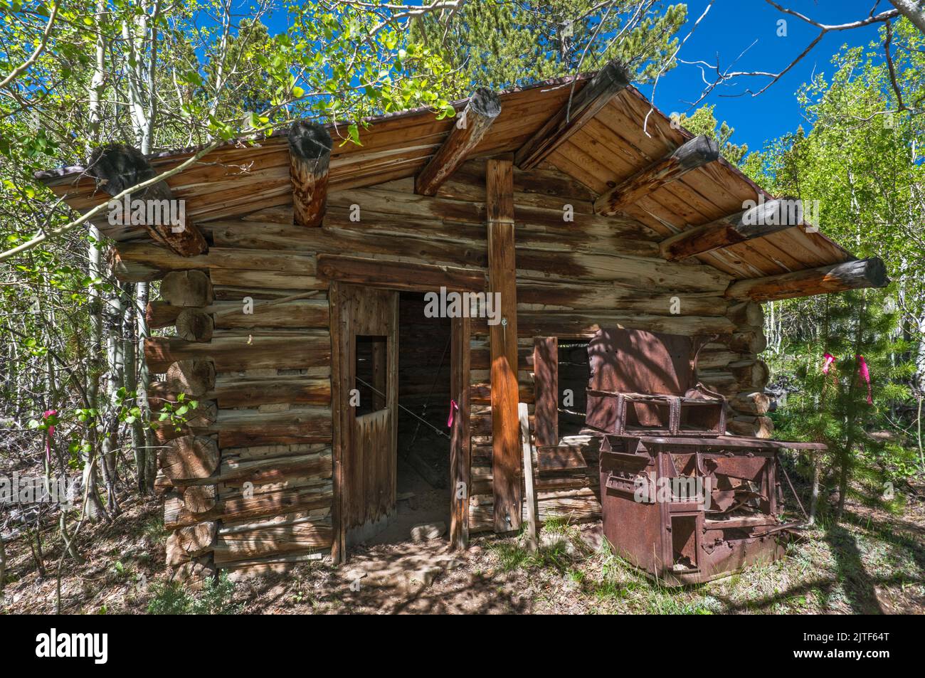 Cabina a Miners Delight, nota anche come città di Hamilton, Wind River Range, Wyoming, USA Foto Stock