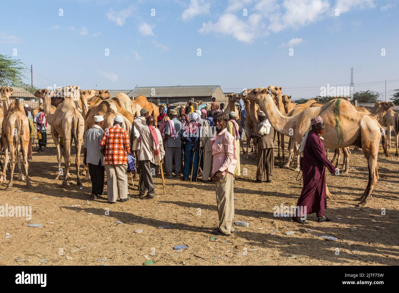 HARGEISA, SOMALILAND - 15 APRILE 2019: Vista del mercato dei cammelli di Hargeisa, capitale del Somaliland Foto Stock