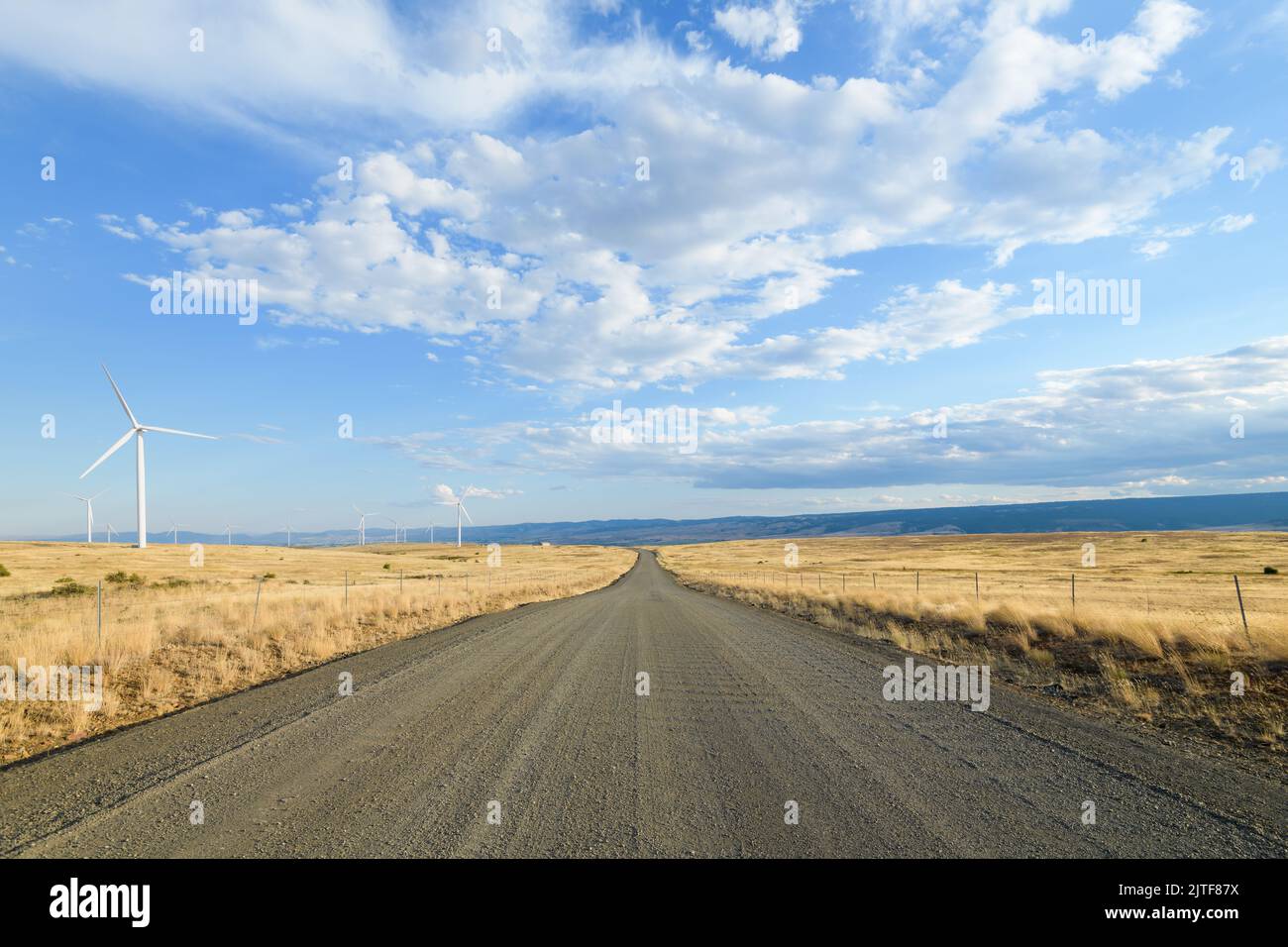 La strada sterrata nel centro dello stato di Washington scompare in lontananza accanto ai campi asciutti e alle turbine eoliche Foto Stock