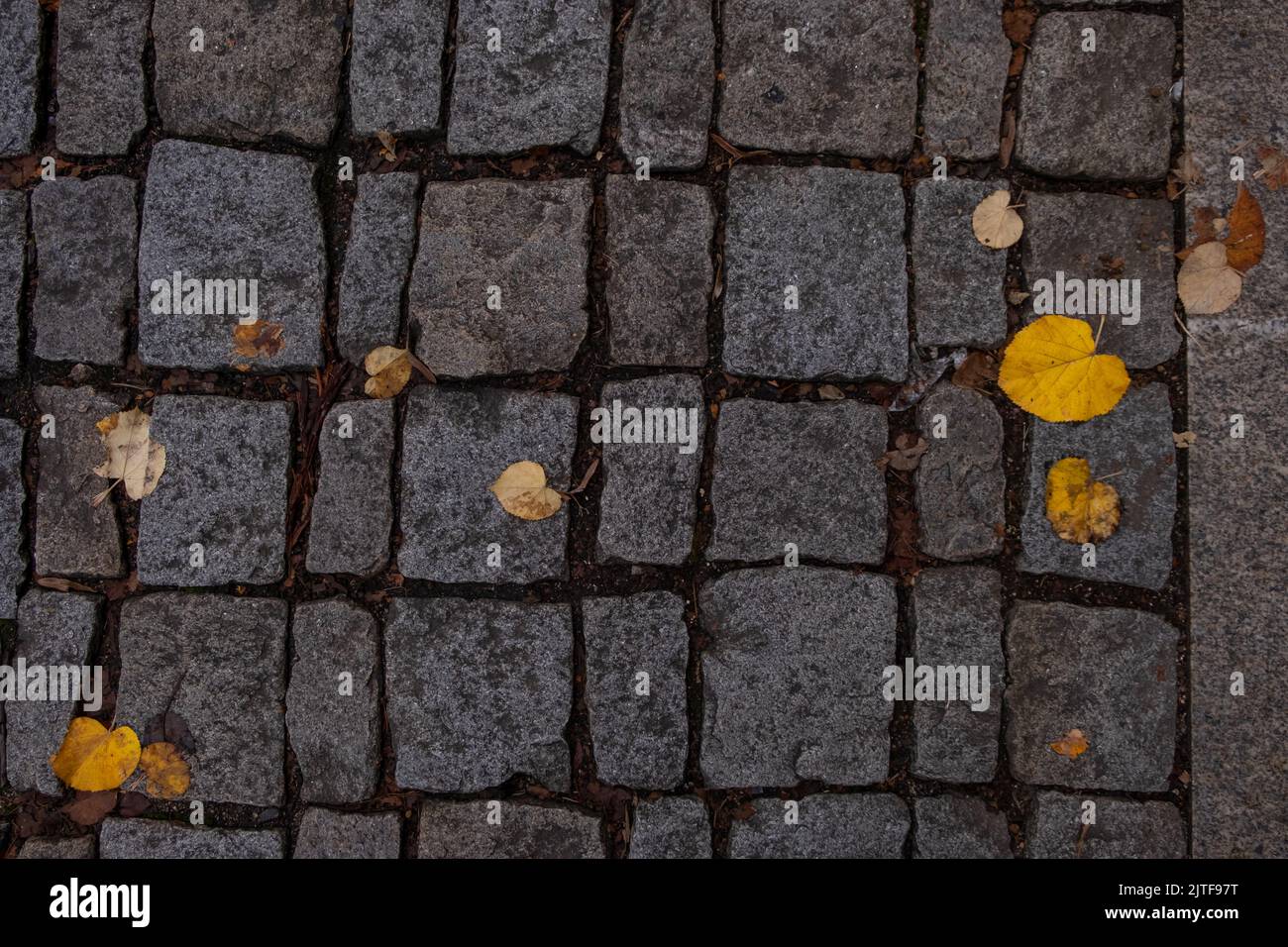 Foglie gialle sul marciapiede pavimentate con piastrelle di pietra nella stagione autunnale. Foto Stock