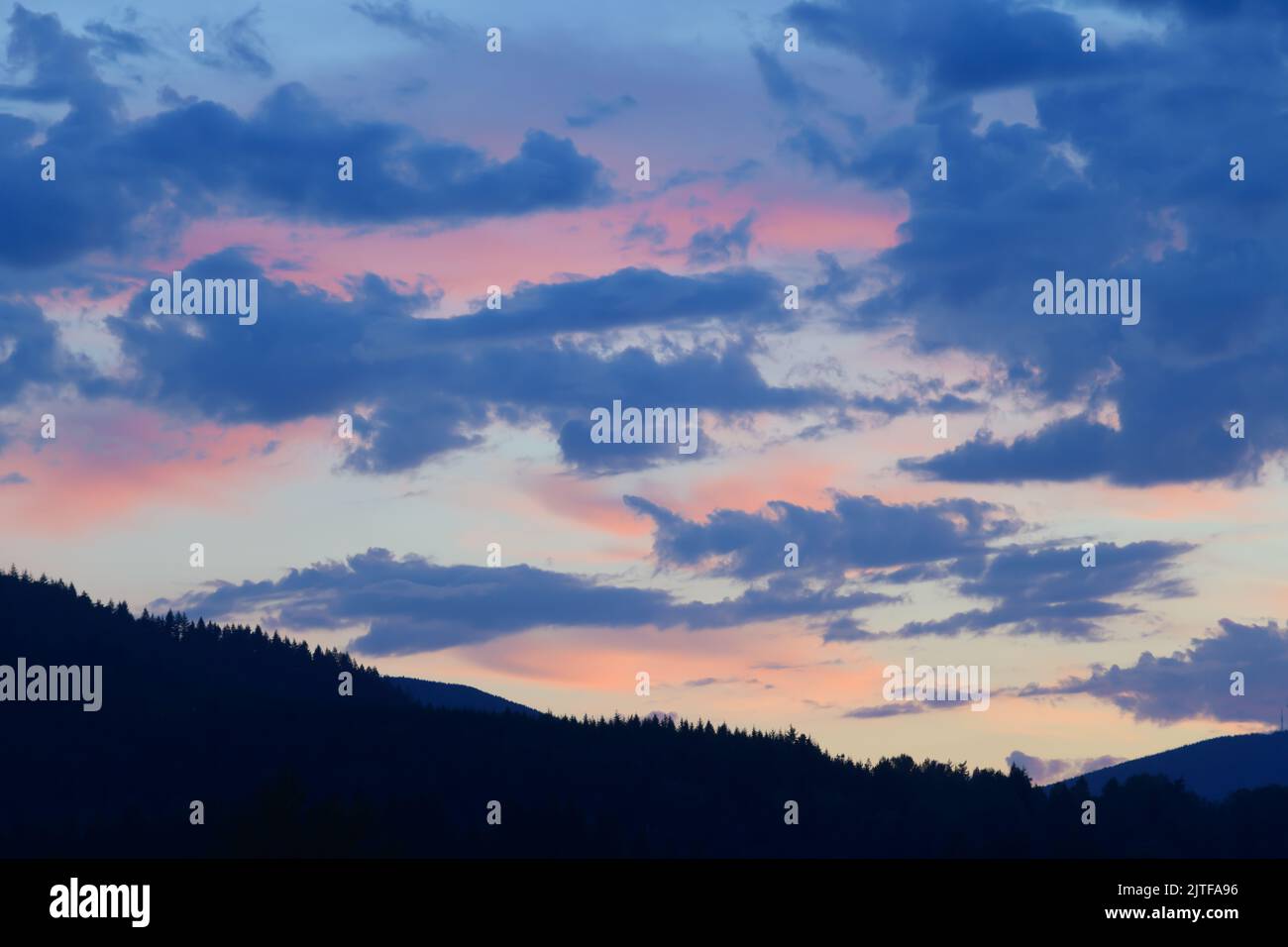 Bagliore rosa su nuvole alte dopo il tramonto con la linea dell'albero in primo piano in ombra Foto Stock