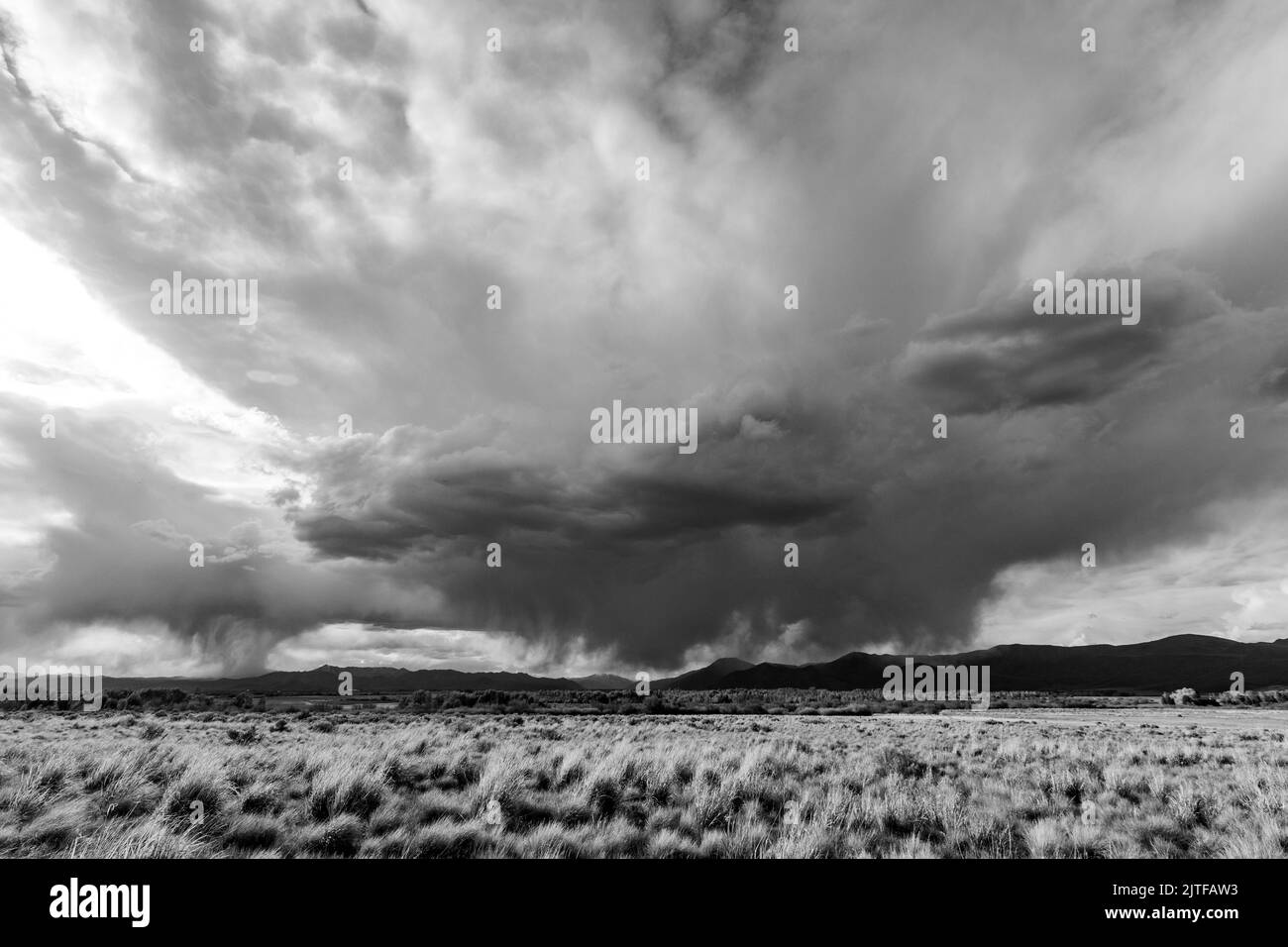 Stati Uniti, Idaho, Bellevue, Stormy cielo su pianure di erba Foto Stock