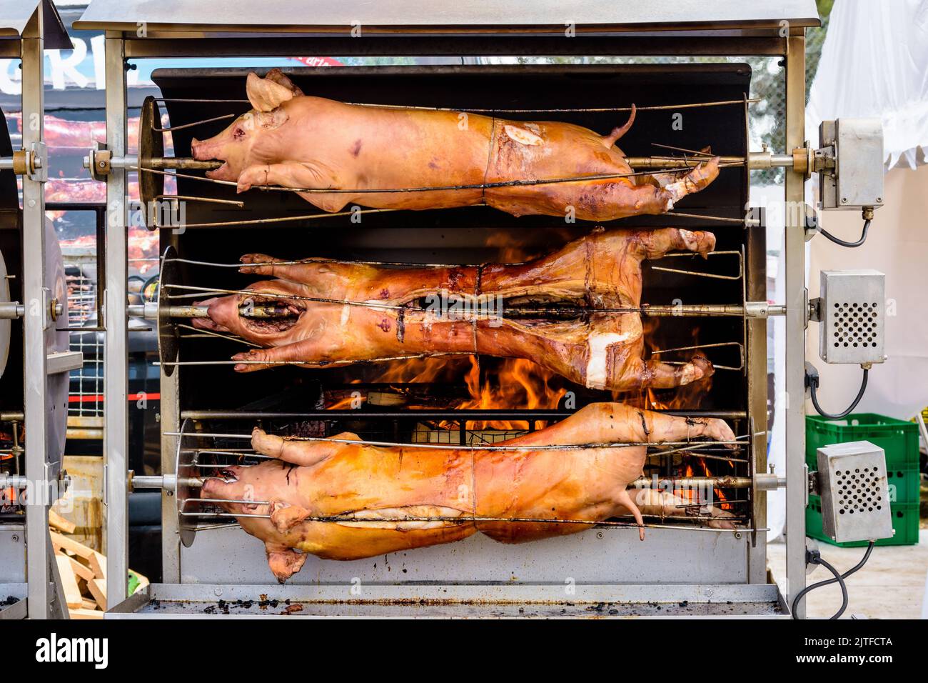 Vista frontale di tre maiali arrostiti su una sputa in una rotisserie. Foto Stock