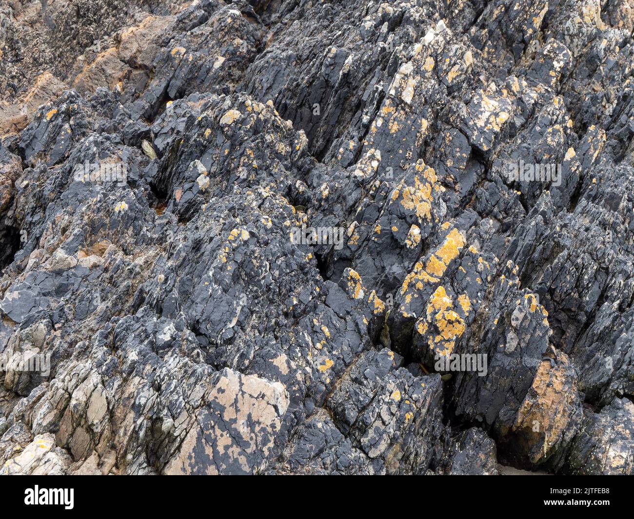 Bellissimi depositi rocciosi come sfondo. Primo piano degli strati di pietra, full frame. Struttura di pietra, roccia. Foto Stock