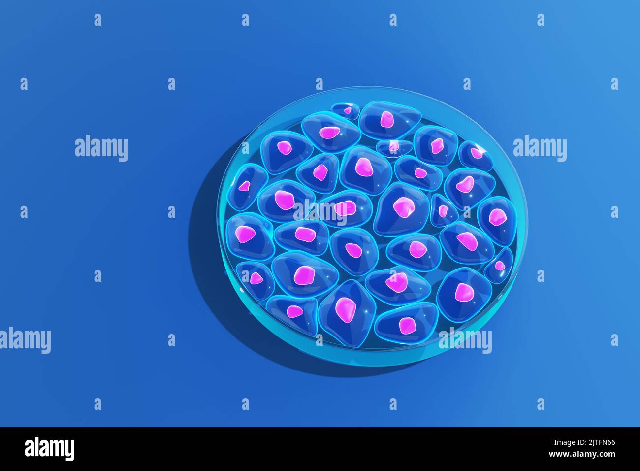 Cellule di organismi che crescono in una capsula di Petri di vetro (alias capsula per colture cellulari). Illustrazione del concetto di esperimento biologico Foto Stock