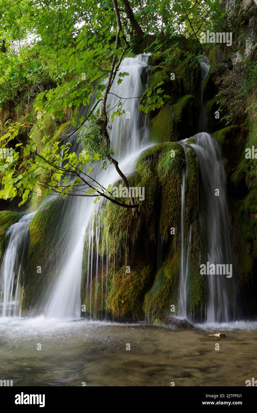 Cascate ai laghi di Plitvice, Croazia. Nacionalni parco Plitvicka jezera. Parco nazionale dei laghi di Plitvice. FOTO DI SAM BAGNALL Foto Stock