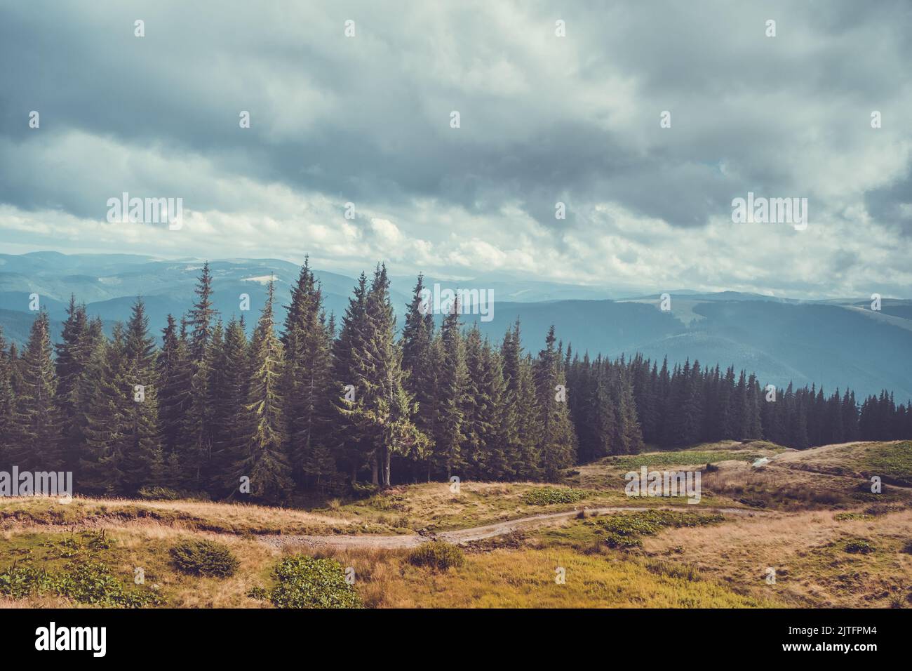 Spettacolare paesaggio forestale altopiano. Trekking sentiero turistico lungo tee di pino, cielo nuvoloso e catena montuosa sullo sfondo. Bellissimo paesaggio naturale. Filtro vintage a tonalità retrò. Carpazi montagne Foto Stock