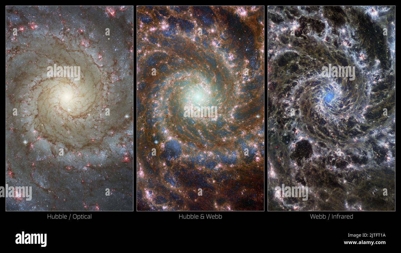Le nuove immagini, rilasciate il 29 agosto 2022, mostrano il cuore del M74, altrimenti noto come la Galassia Fantasma, mentre mostrano la potenza degli osservatori spaziali che lavorano insieme in più lunghezze d'onda. A sinistra, la visione della galassia del Telescopio spaziale NASA/ESA Hubble spazia dalle stelle più vecchie e rosse verso il centro alle stelle più giovani e più blu nelle sue braccia a spirale, fino alla formazione stellare più attiva nelle bolle rosse delle regioni H II. A destra, l'immagine del telescopio spaziale della NASA/ESA/CSA James Webb è sorprendentemente diversa, evidenziando le masse di gas e polvere all'interno delle braccia della galassia e di t Foto Stock