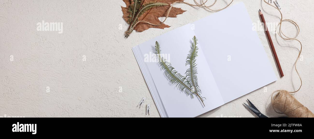 Foglio pressato secco su carta da notebook con matita, forbici e spago su sfondo bianco. Hobby, fatto a mano, arte floreale e banner boho concept Foto Stock