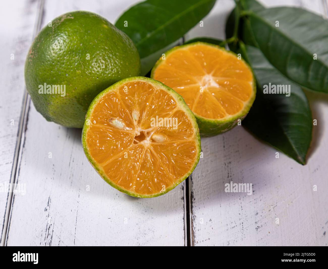 Rangpur, Citrus x limonia o Citrus reticulata x medica, a volte chiamato il  rangpur calce, mandarino calce o lemandarina, è un ibrido tra il manda Foto  stock - Alamy