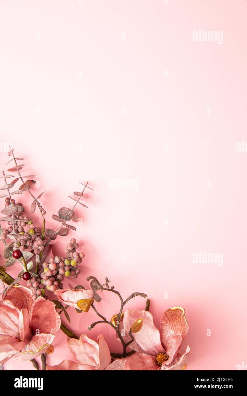 Fiori secchi decorativi su sfondo rosa pastello. Arte concettuale Foto Stock