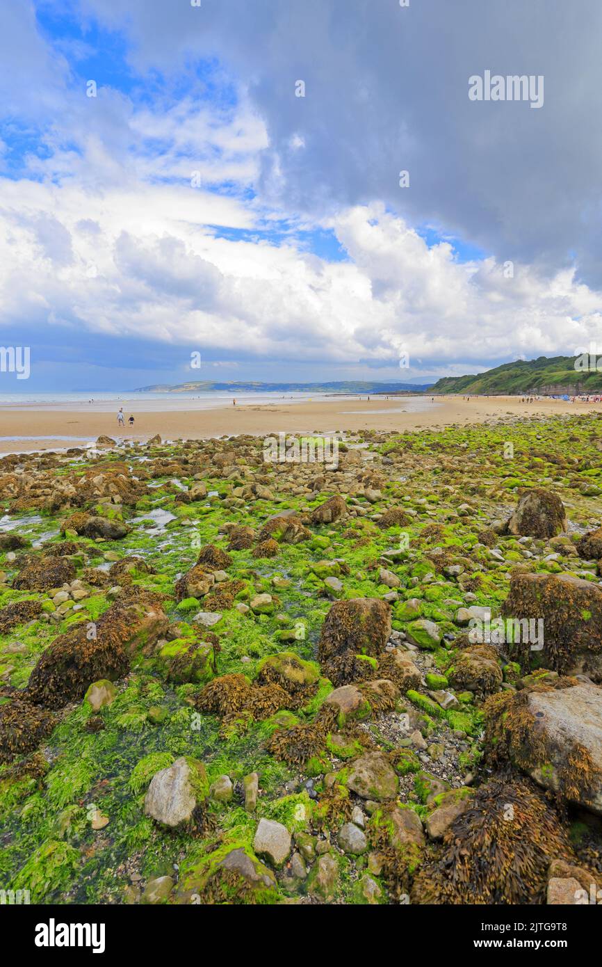 Sabbia di Bennlech con bassa marea, Isola di Anglesey, Ynys Mon, Galles del Nord, Regno Unito. Foto Stock