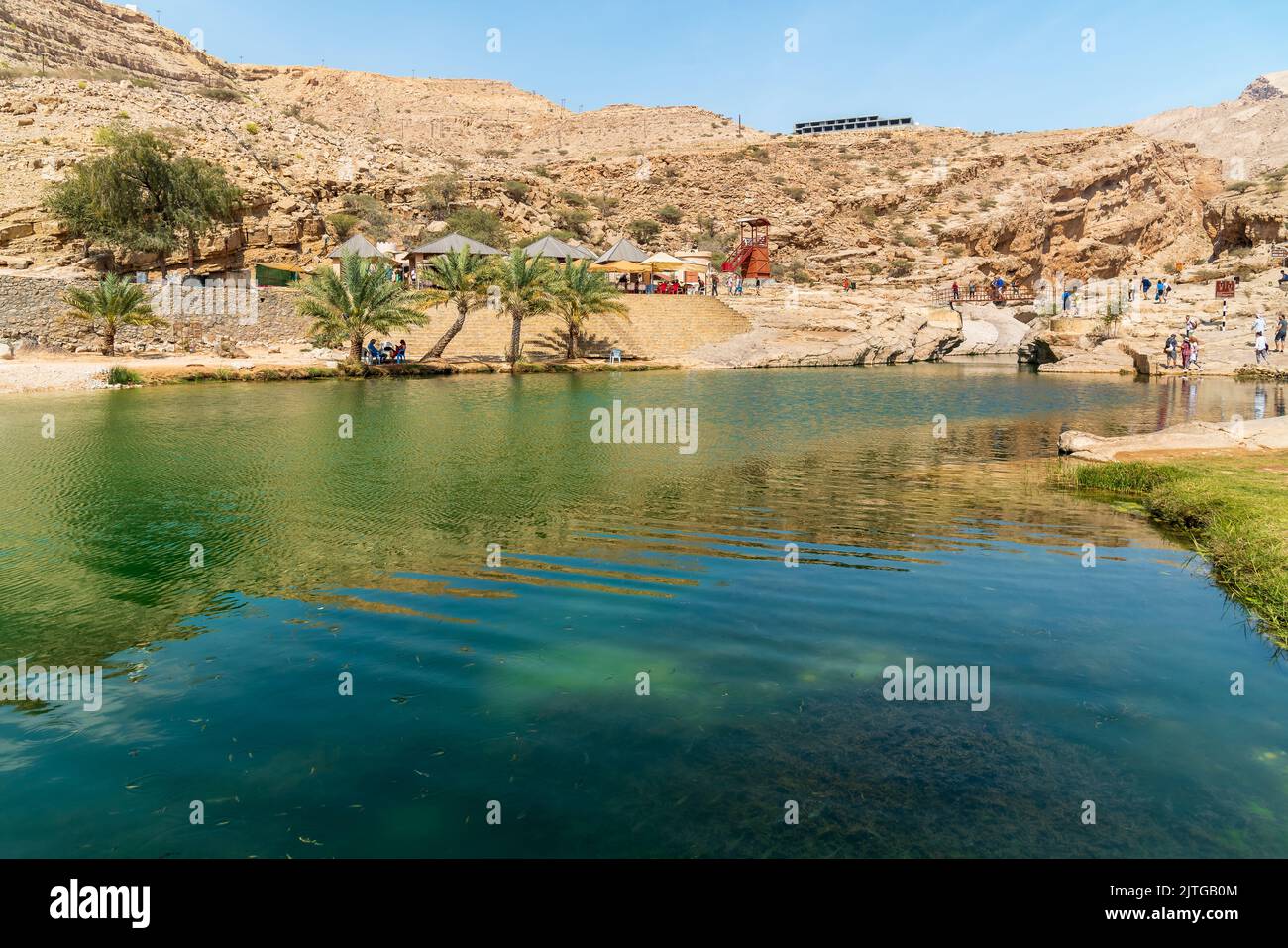 Vista dell'oasi di Wadi Bani Khalid nel deserto nel Sultanato dell'Oman. Foto Stock
