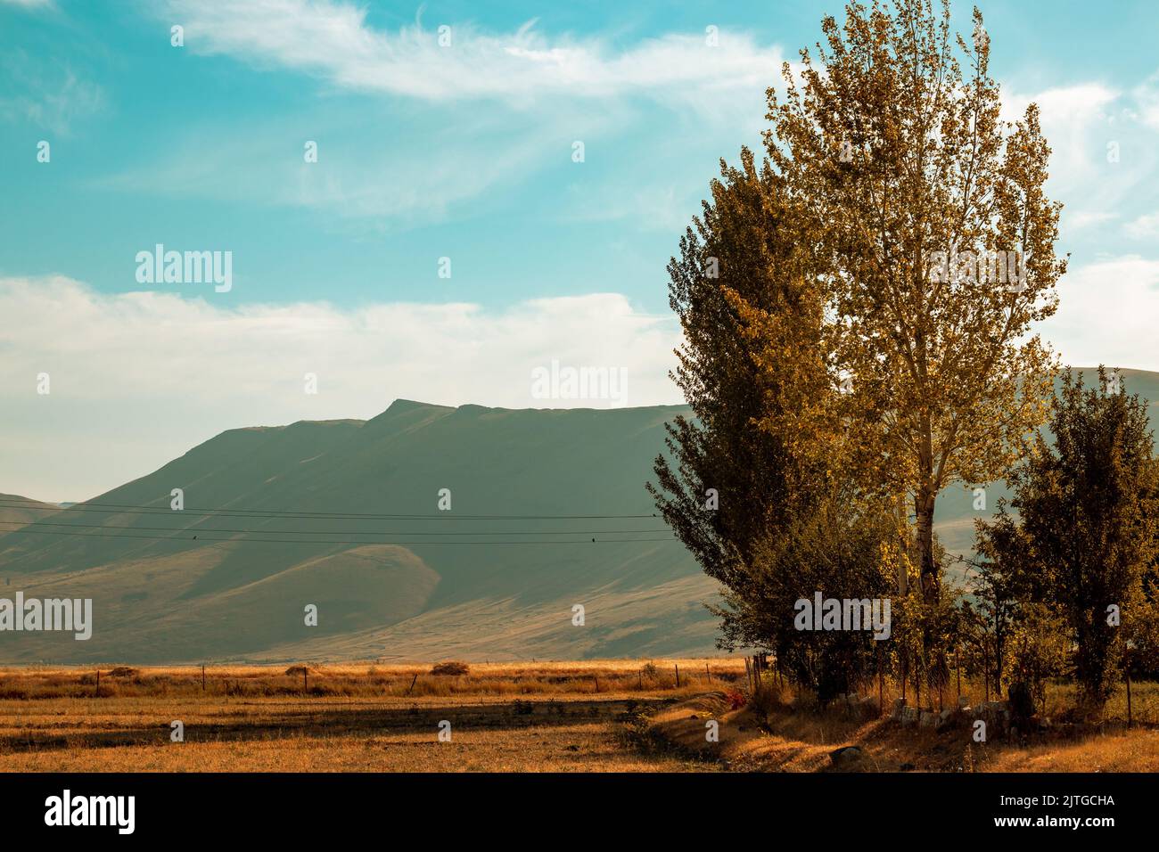 Paesaggio autunnale con montagna sullo sfondo. Alberi ingialliti e praterie. Cielo turchese. Foto triste. Erzurum, Turchia. Foto Stock