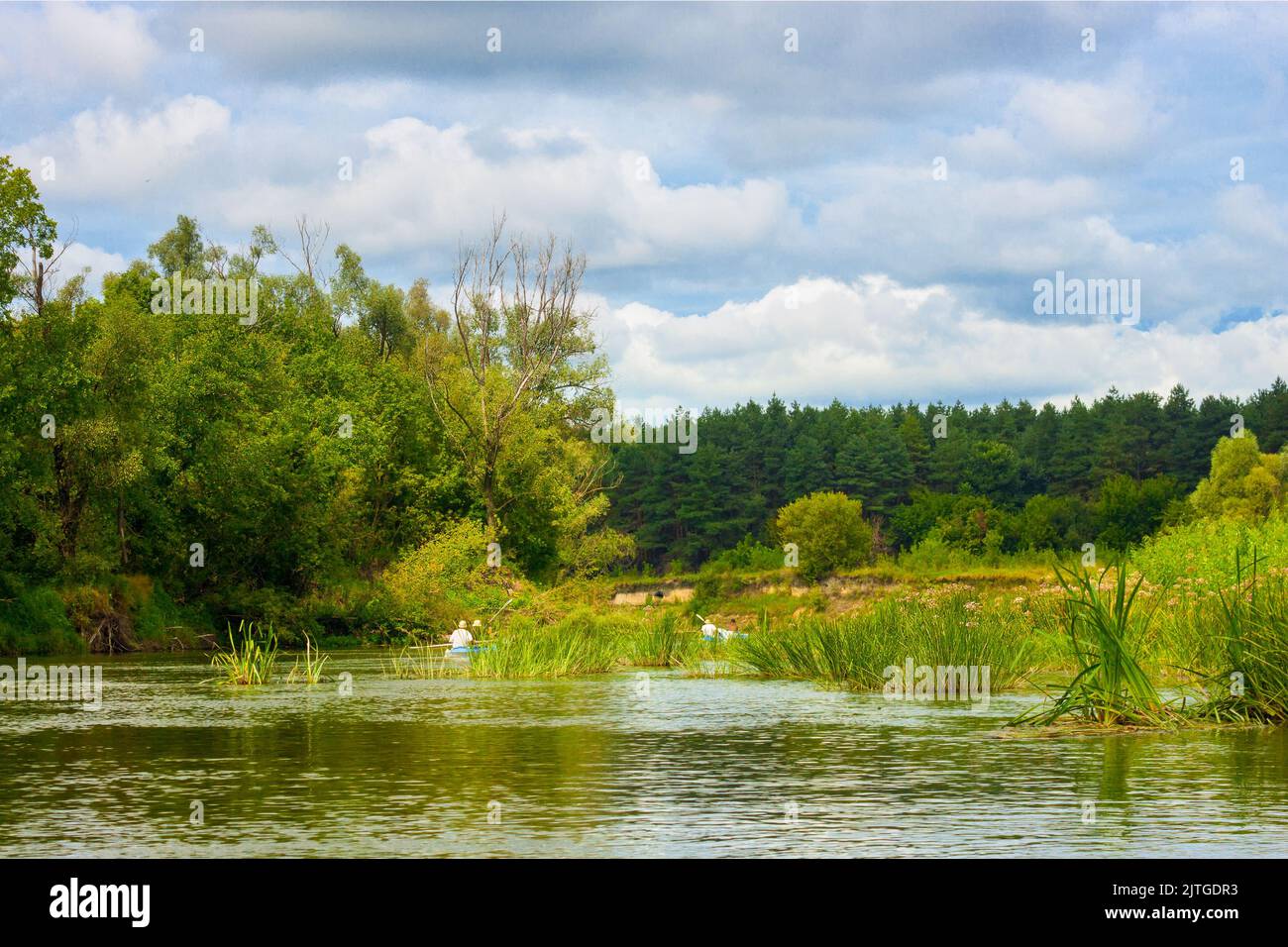 Estate natura fiume foresta paesaggio. Ucraina, fiume di Seym Foto Stock