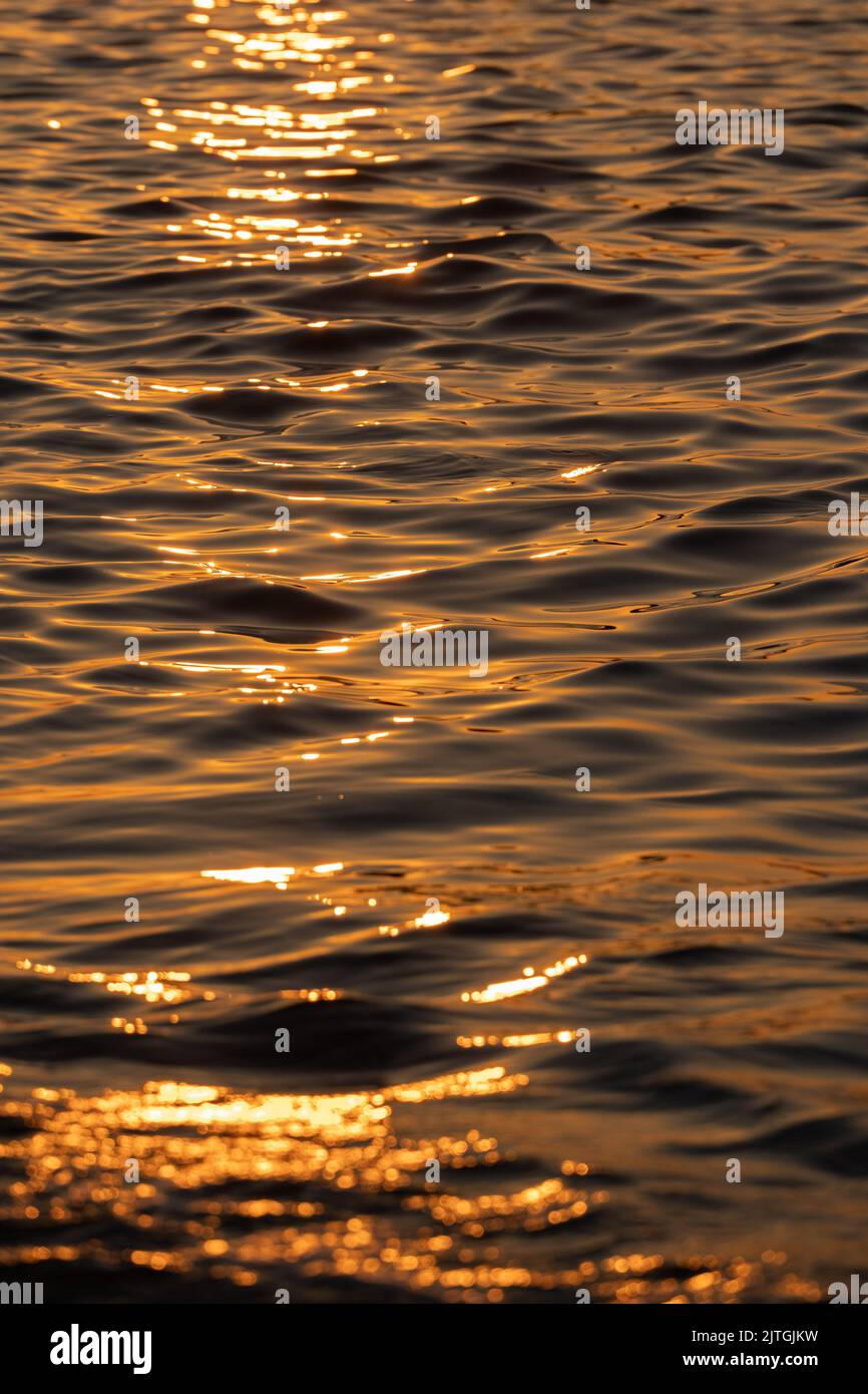Ripple acqua mare oceano superficie con luce tramonto dorato. Primo piano dell'onda di mare Foto Stock