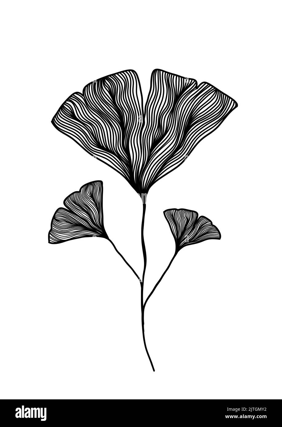 Una linea nera e bianca disegno di silhouette di ginkgo biloba foglie per sfondo, logo e altre esigenze di illustrazione Illustrazione Vettoriale
