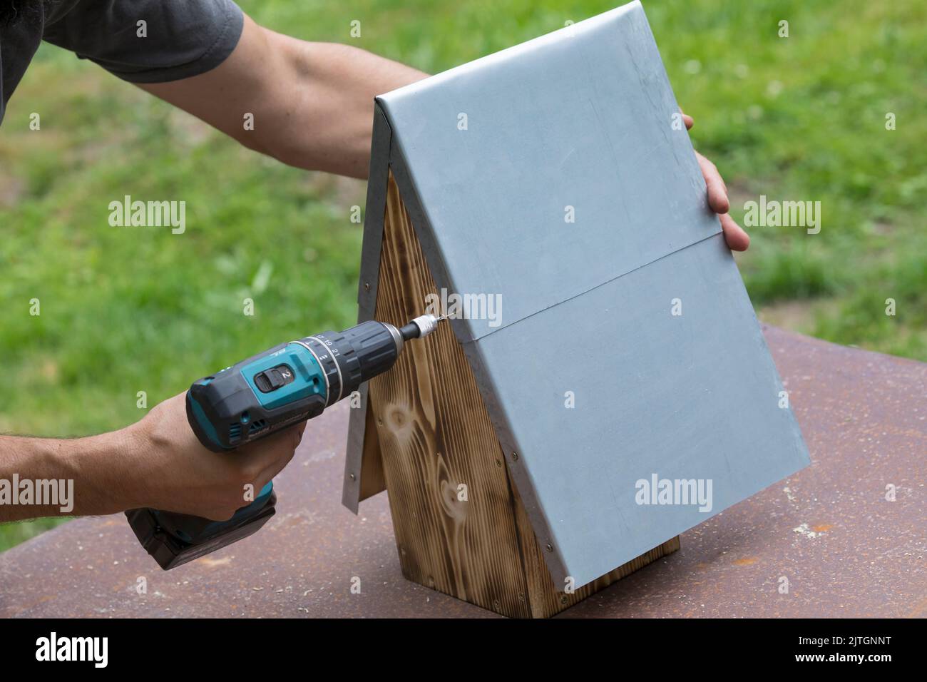 serie di scatole nest, passo 11/13: una lastra di lamiera di zinco sporgente sul lato anteriore protegge la scatola nest e il foro di ingresso dagli effetti del Foto Stock