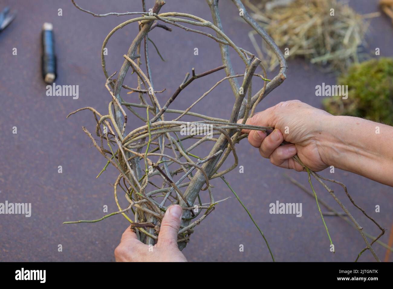 materiale di nidificazione per gli uccelli nel giardino. Passo 3/4: Avvolgere con viti - fissare una vite in basso con filo fiorista e avvolgerla intorno al ramo Foto Stock