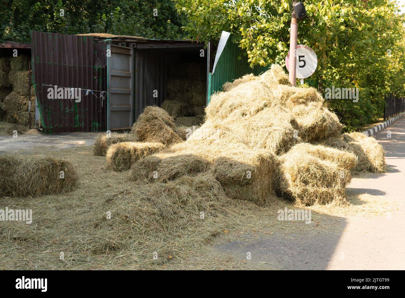 Sinovite articolare dolore sinoviale ginocchio sinovite tenosinovite infiammazione fluido, da gonfiore lupus per calcio e atleta stadio, portland Foto Stock