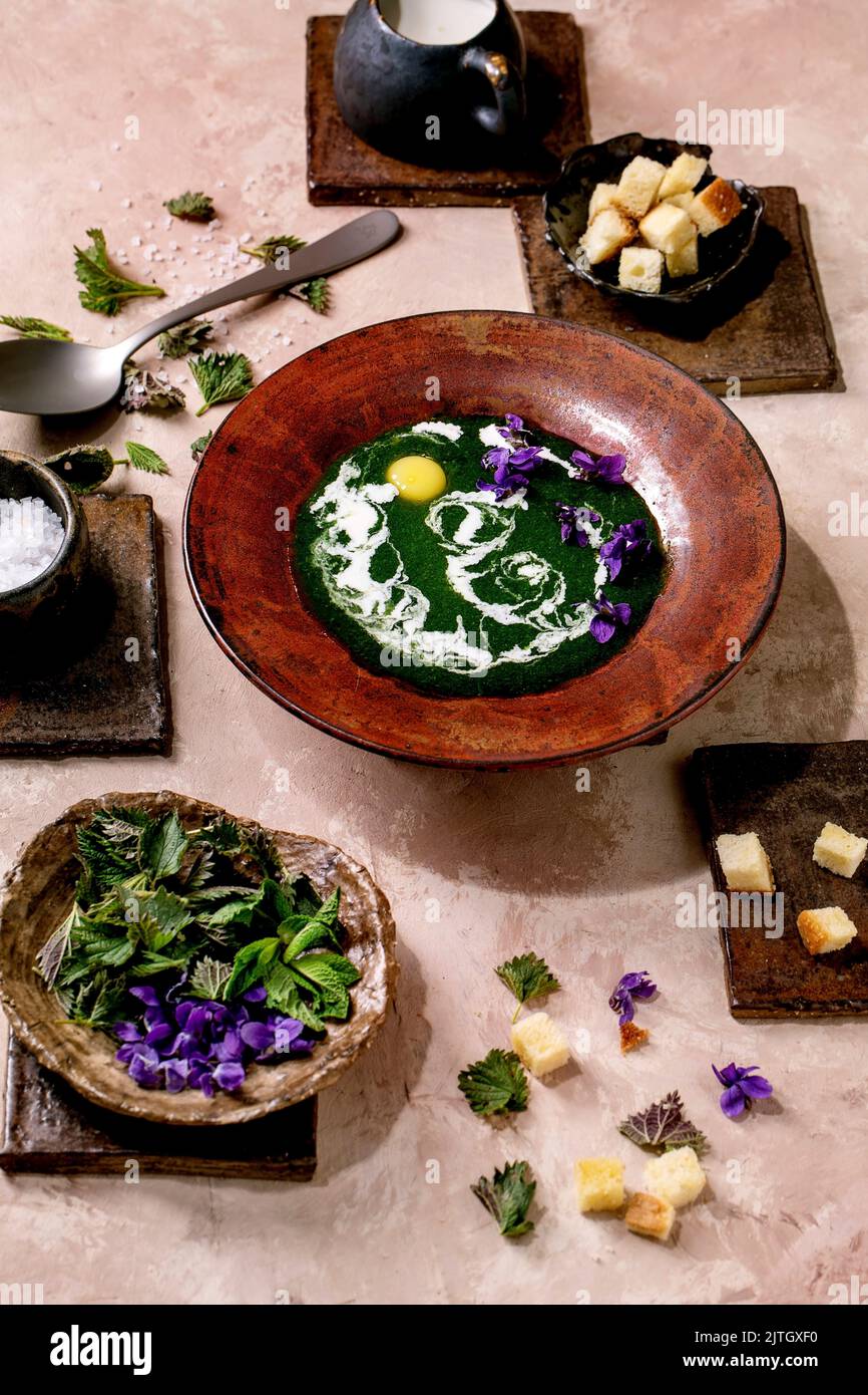 Piatto di zuppa di purea di ortica primaverile, servito con tuorlo di quaglia, fiori di violette, crema, crostini e giovani foglie di ortica su piastrelle di ceramica marrone. P Foto Stock