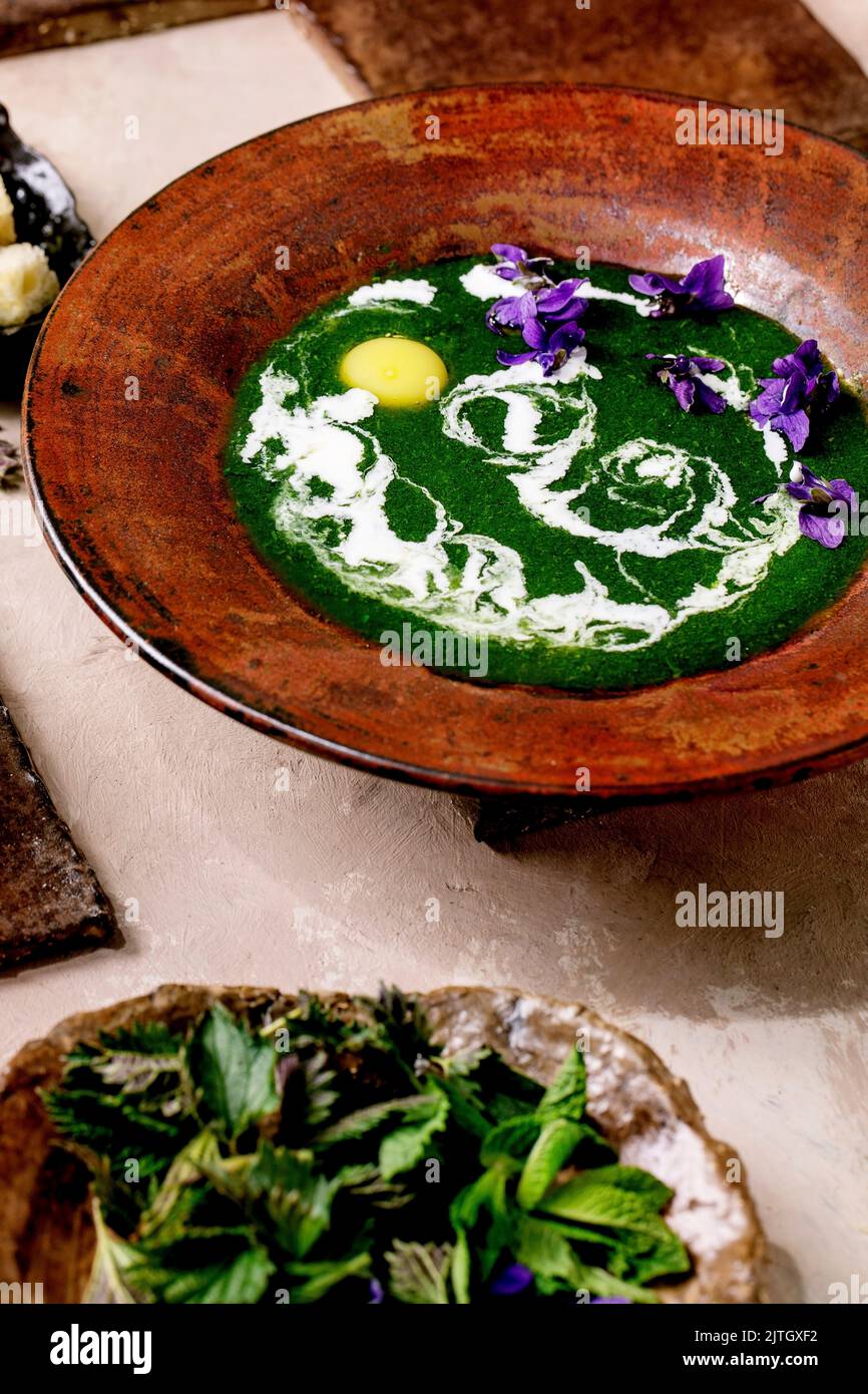 Piatto di zuppa di purea di ortica primaverile, servito con tuorlo di quaglia, fiori di violette, crema, crostini e giovani foglie di ortica su piastrelle di ceramica marrone. P Foto Stock