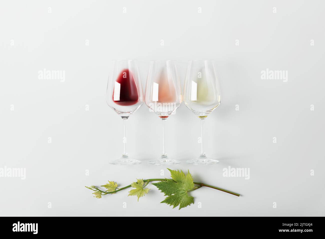 Piatto di vino rosso, rosa e bianco in bicchieri e ramificazione di foglie di vite su fondo bianco. Concetto di wine bar, cantina, degustazione di vini. Minimalisti Foto Stock