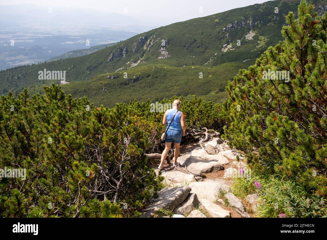 Donna con bastoni che camminano lungo il sentiero in montagna. Trekker con zaino su sentiero in pietra. Attività all'aperto e nordic walking in montagna. Ehea Foto Stock
