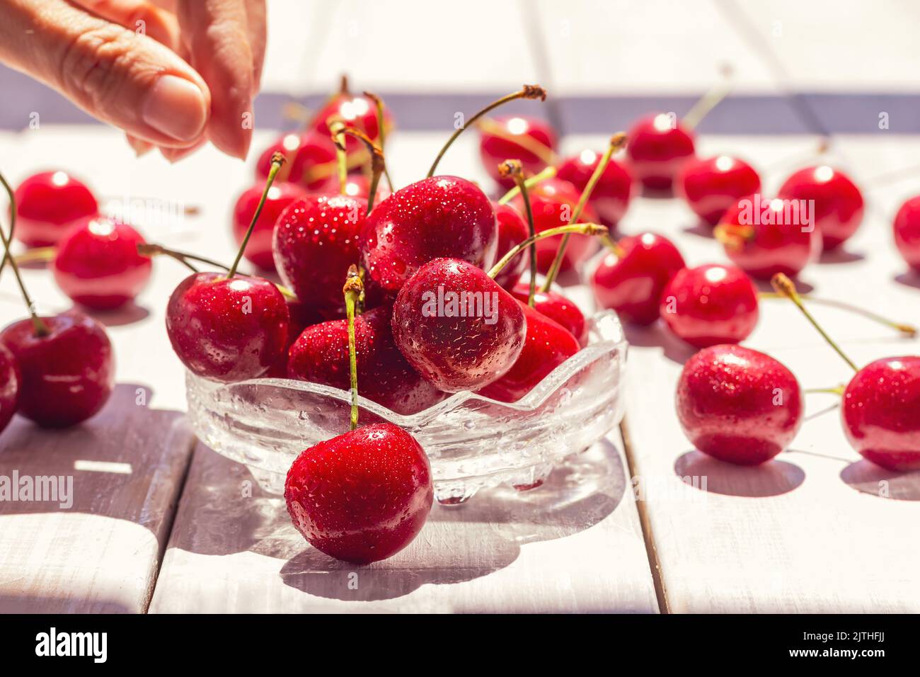 Ciliegie in ciotola di vetro e sparse su tavola di legno bianco ciliegie rosse fresche lavate, gocce brillano dai raggi del sole. Estate buon cibo sulla terrazza accogliente vicino- Foto Stock