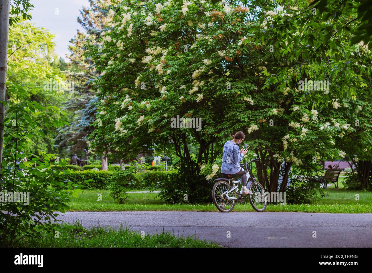 la ragazza in bicicletta nel parco scatta foto del cespuglio fiorito sullo smartphone, della vista posteriore, della messa a fuoco selettiva o morbida. donna attraente e atletica che usa smart pho Foto Stock