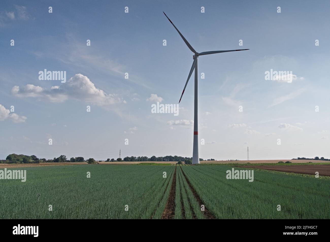 Turbina eolica singola in paesaggio rurale Foto Stock