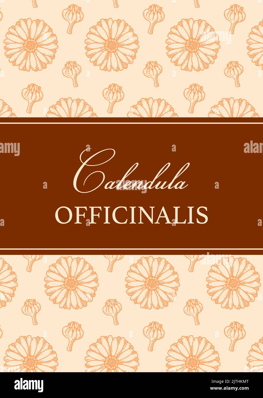 Design del packaging in calendula con elementi disegnati a mano. Illustrazione vettoriale nello stile di schizzo Illustrazione Vettoriale