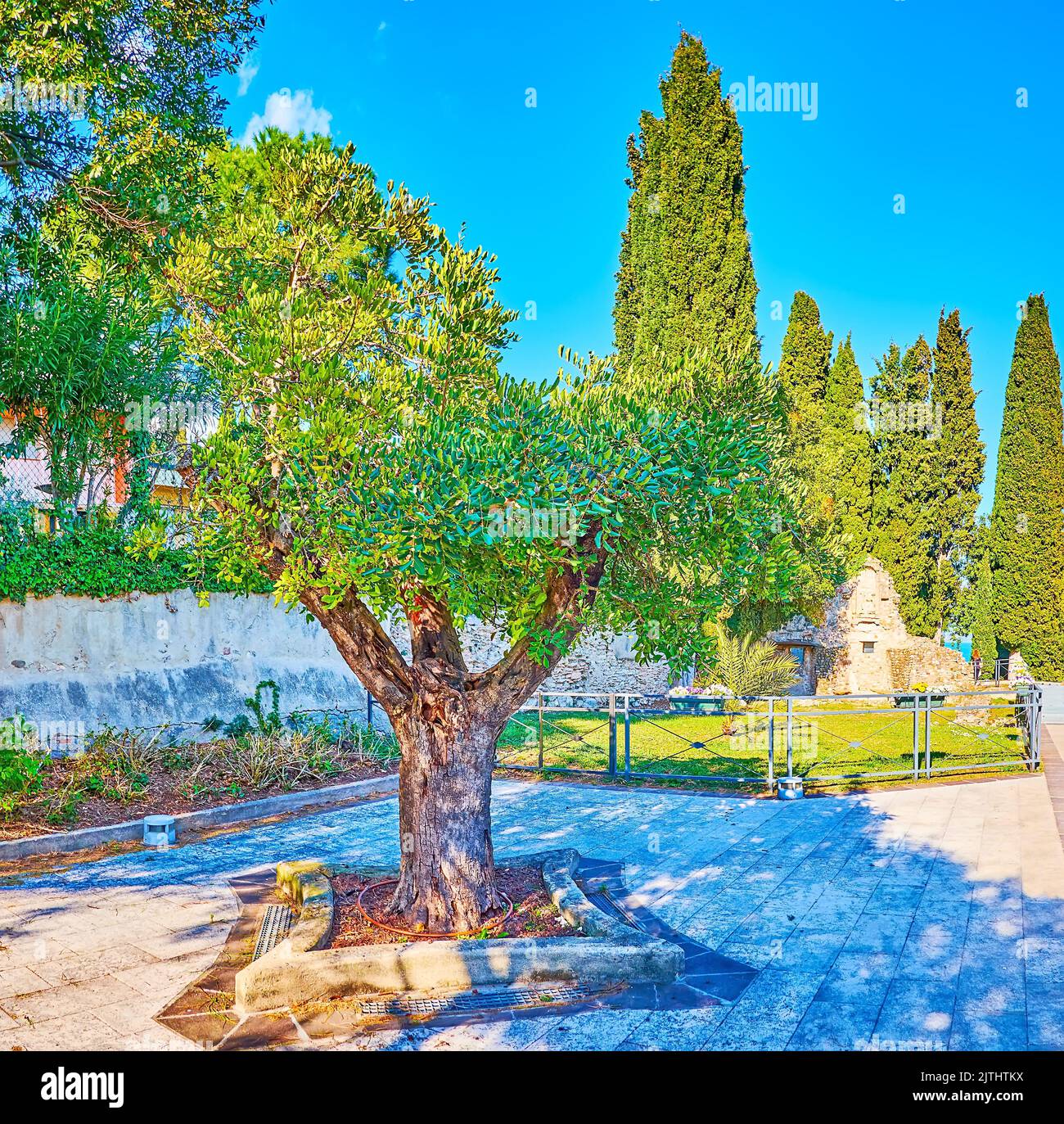 Gli alberi verdi e lussureggianti del luogo dell'antico Monastero di San Salvatore, situato nella vecchia Sirmione, in Italia Foto Stock