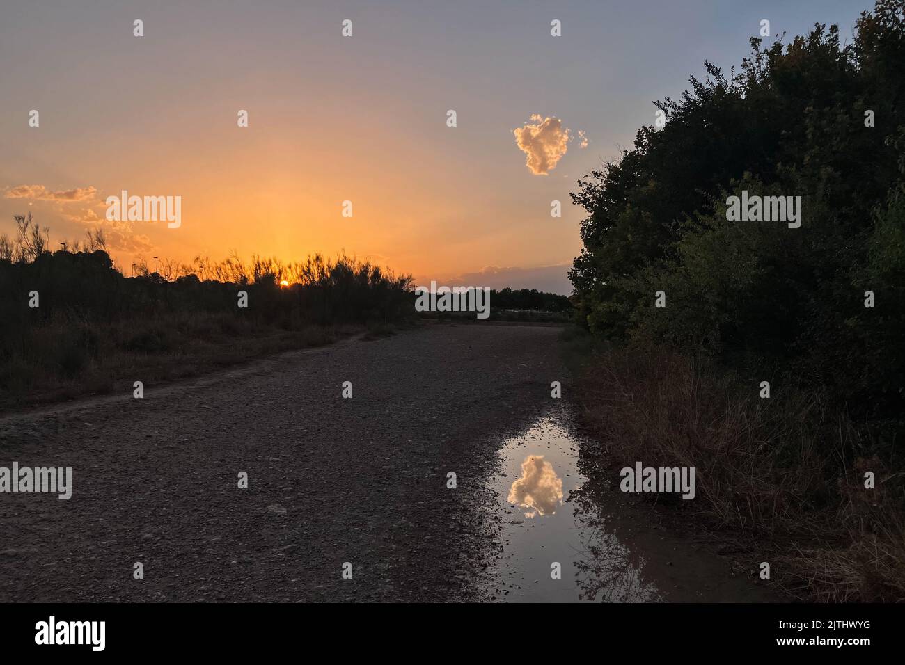 Foto artistica di una nuvola riflessa sulla pozza della pioggia al tramonto Foto Stock