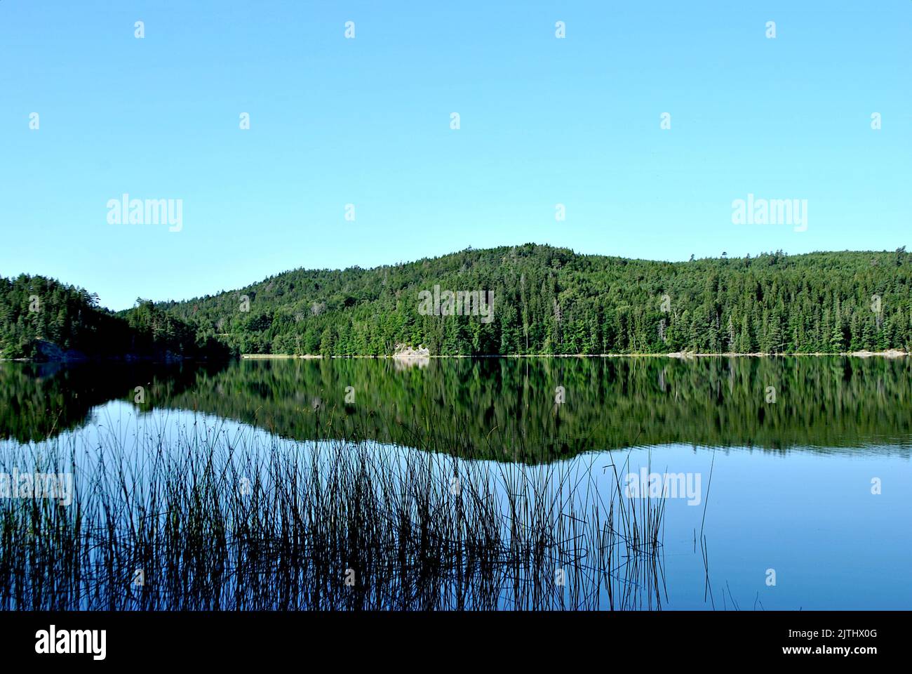 lago calmo e riflesso della foresta in acqua, cielo blu Foto Stock