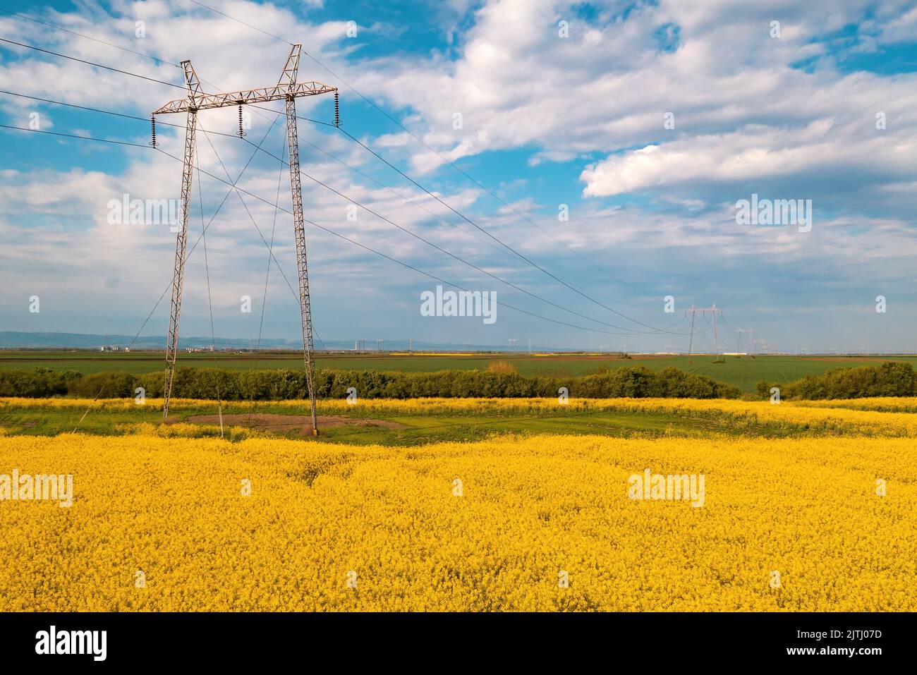 Torri di trasmissione Power line in campo colto di colza nelle giornate di sole primaverili Foto Stock