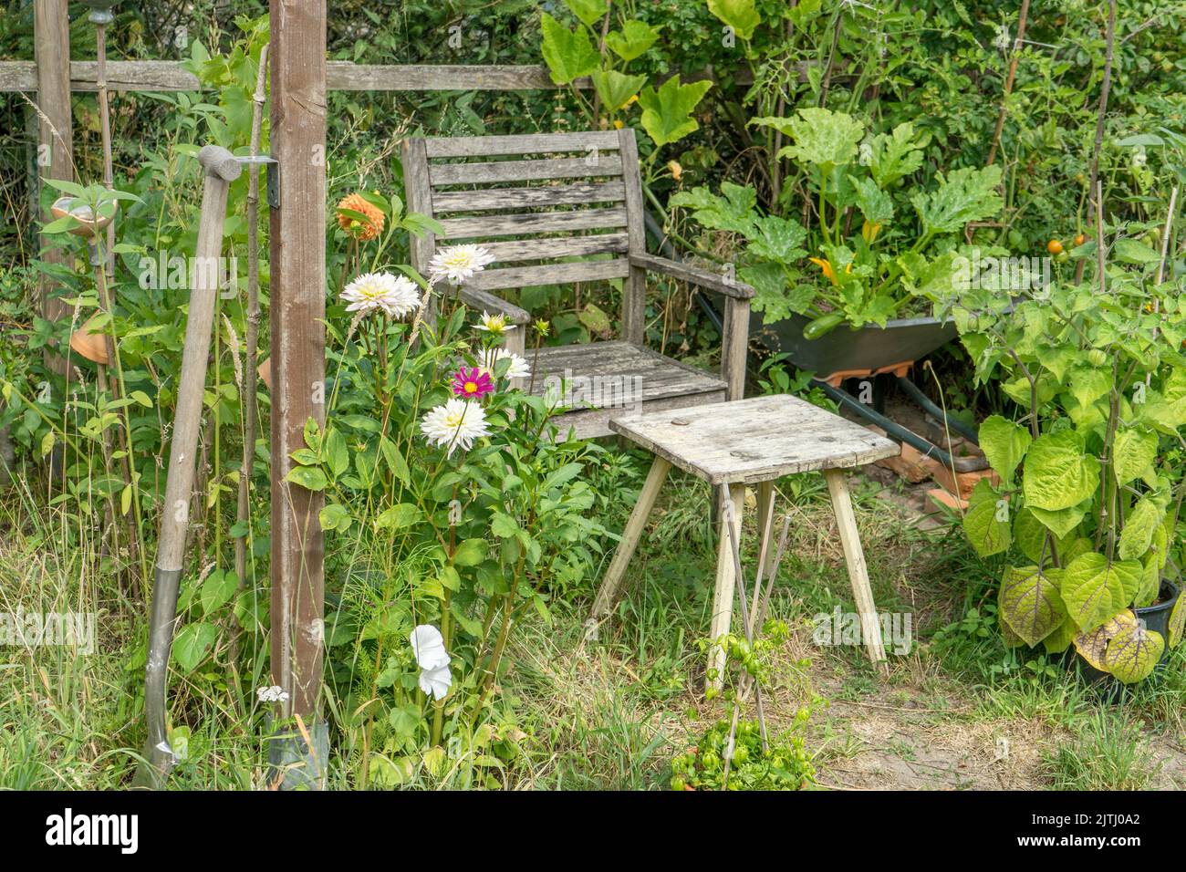 Area soggiorno con sedia e tavolo nel giardino naturale Foto Stock