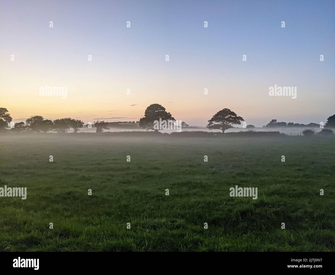 Foschia su campi con alberi durante l'alba al tramonto in Irlanda del Nord, Regno Unito Foto Stock