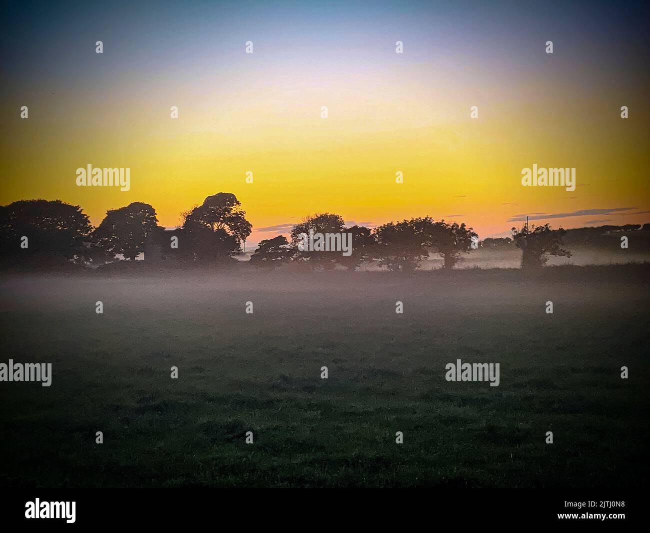 Foschia su campi con alberi durante l'alba al tramonto in Irlanda del Nord, Regno Unito Foto Stock
